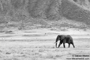 CLASSIC EAST AFRICA